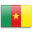 Камерунски Фамилии